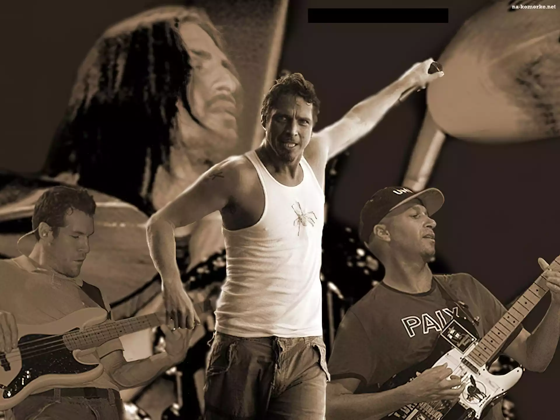 Audioslave, zespół , gitara