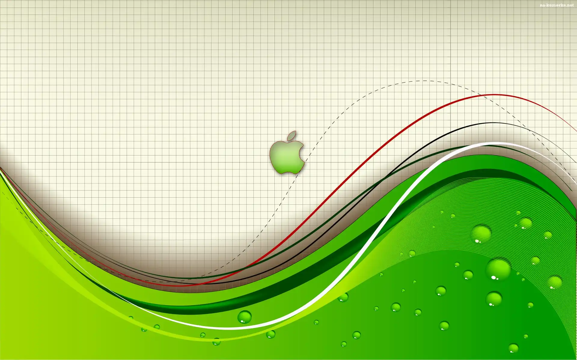 Apple, Zeszyt, Kratka