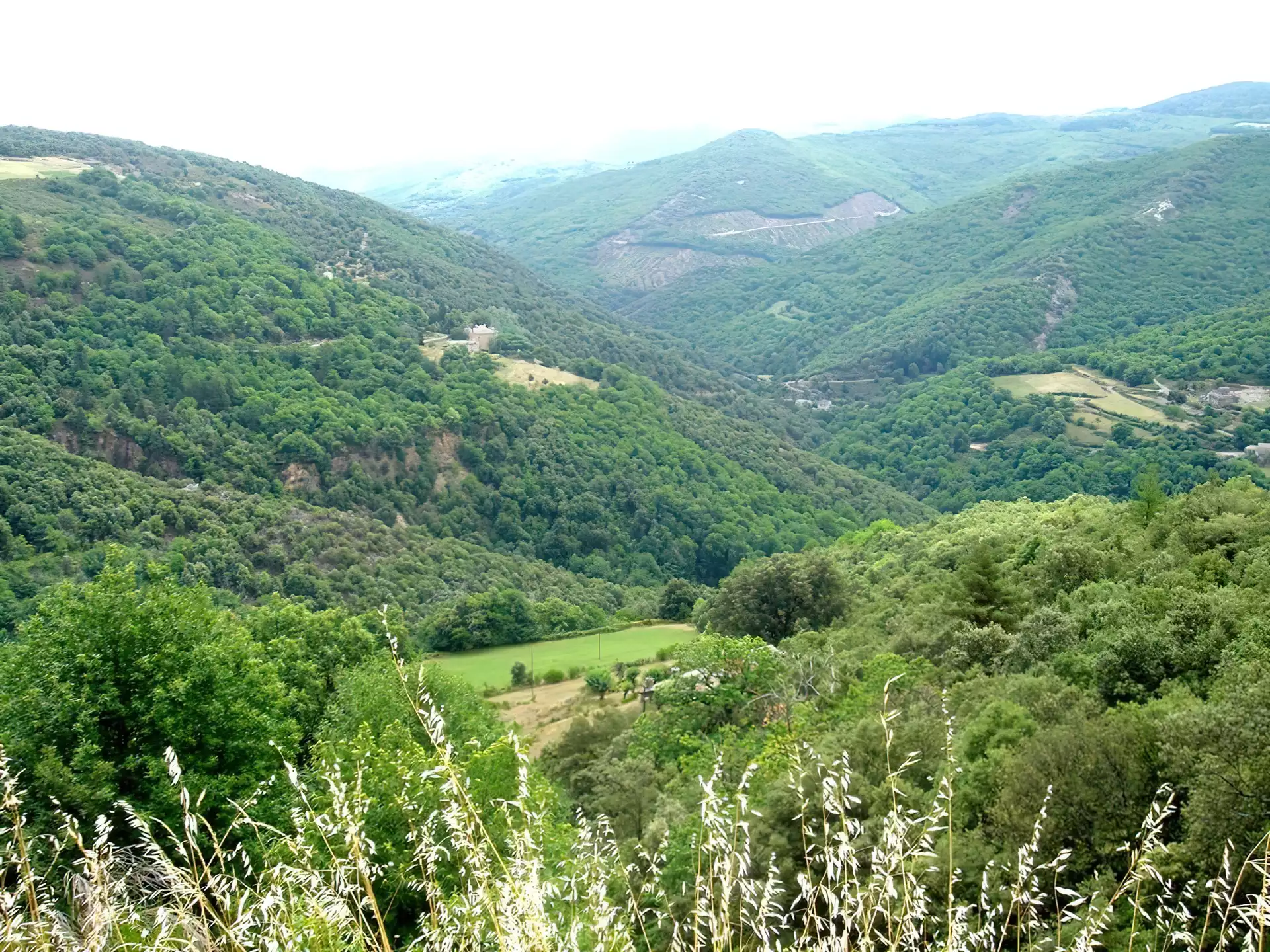 Zieleń, Francja, Pasmo, Górskie, Drzewa