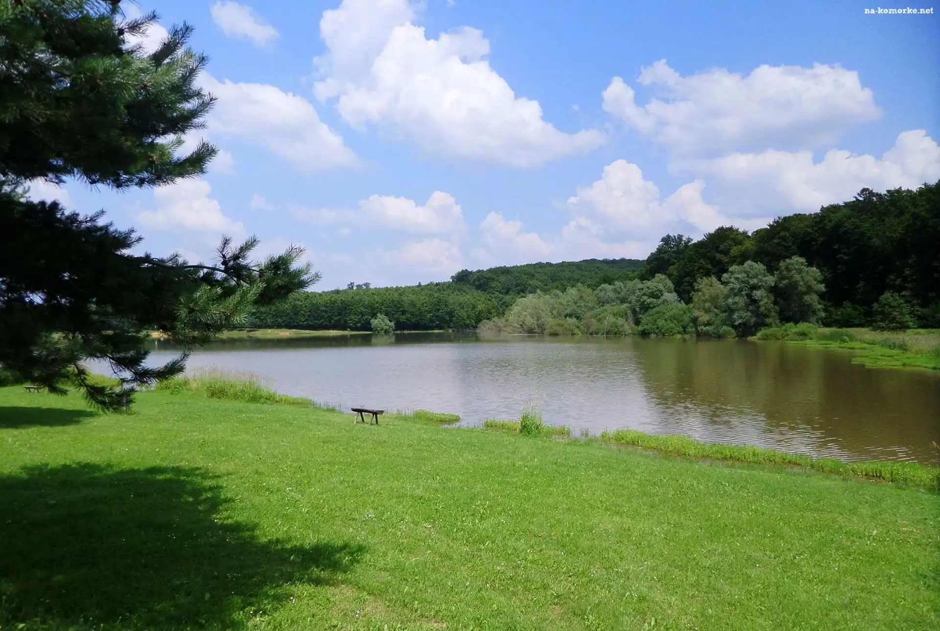 Jezioro, Zieleń, Ławka