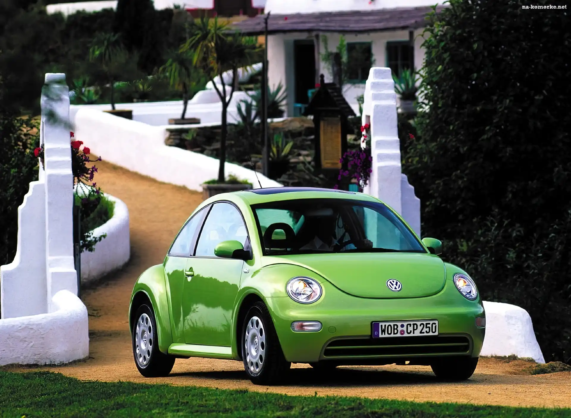 Zielony, Volkswagen New Beetle