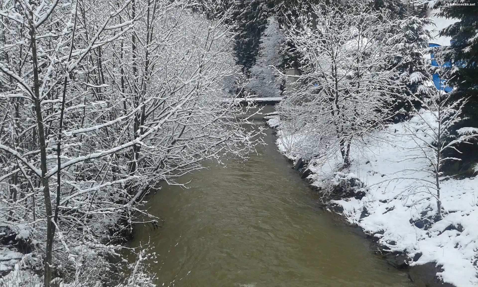 Zima