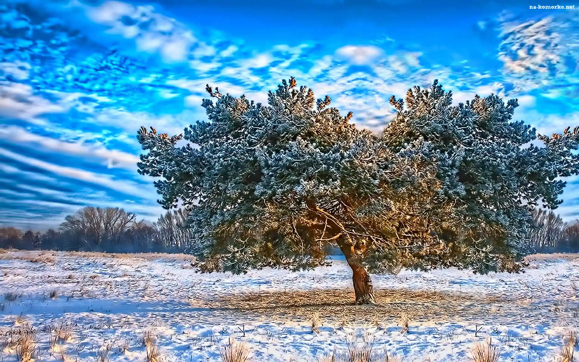 Zima, Oszronione, Drzewo, Chmury, Śnieg
