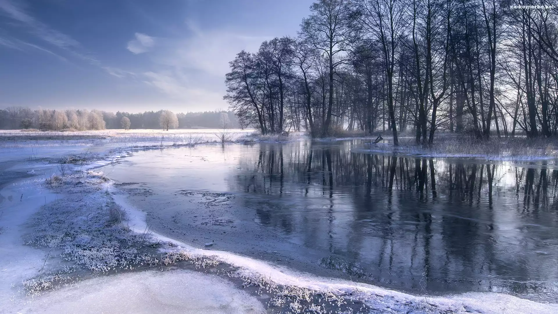 Śnieg, Drzewa, Zima, Rzeka