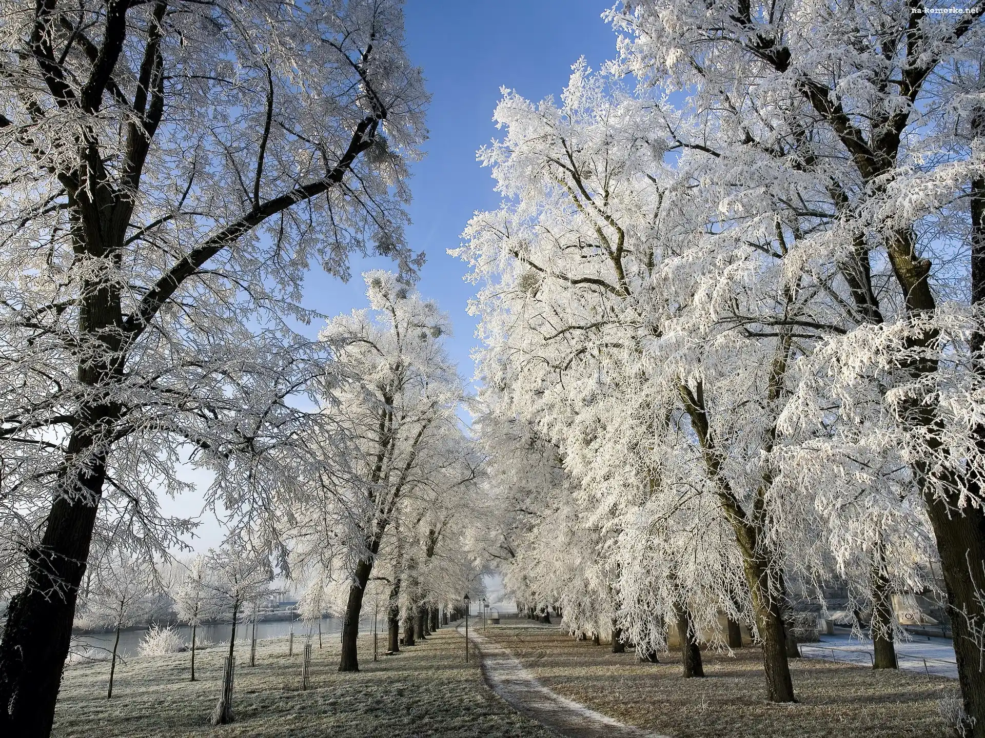Zima, Park, Rzeka, Drzewa, Ścieżka