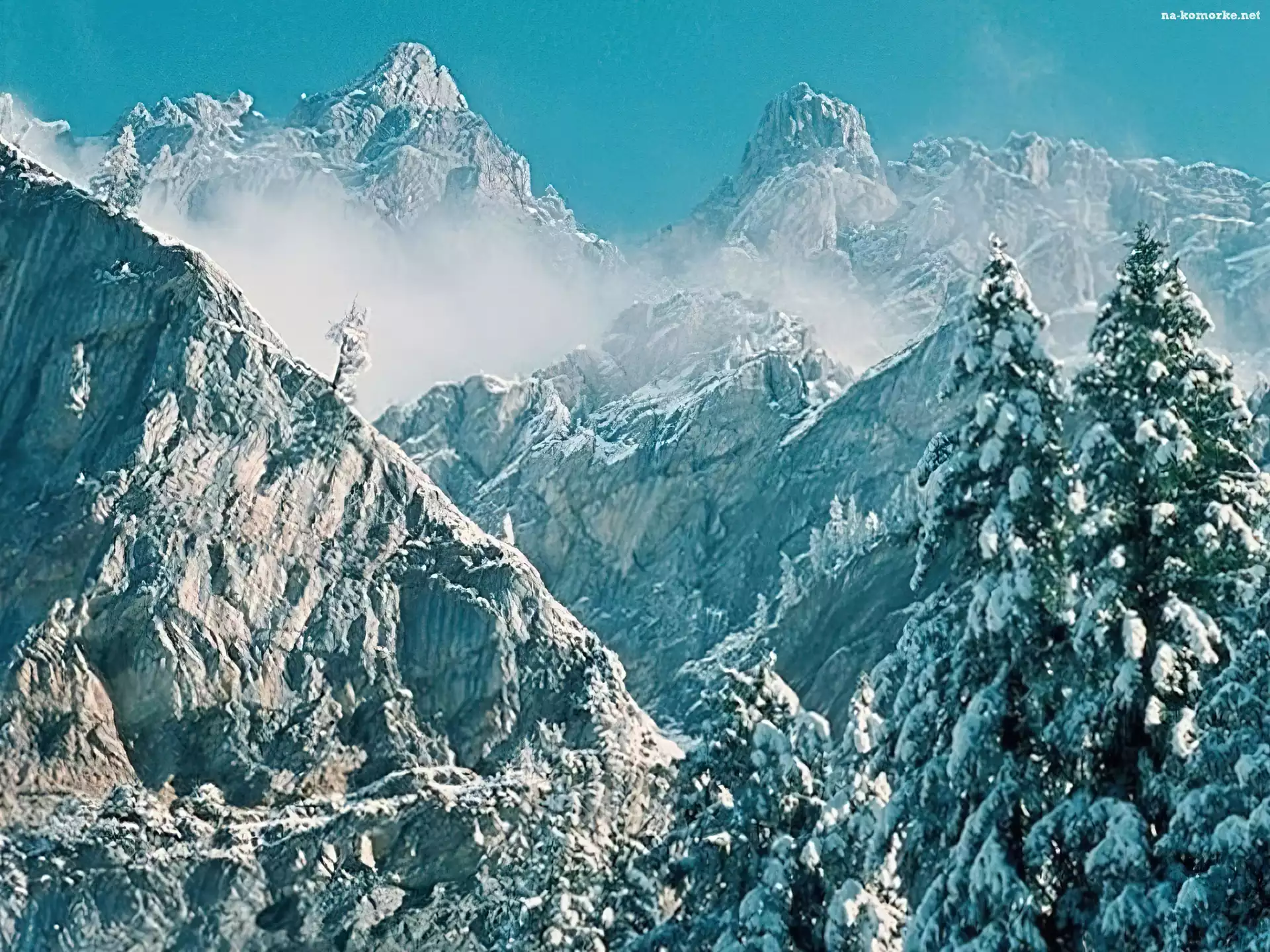 Góry, Zima, choinki