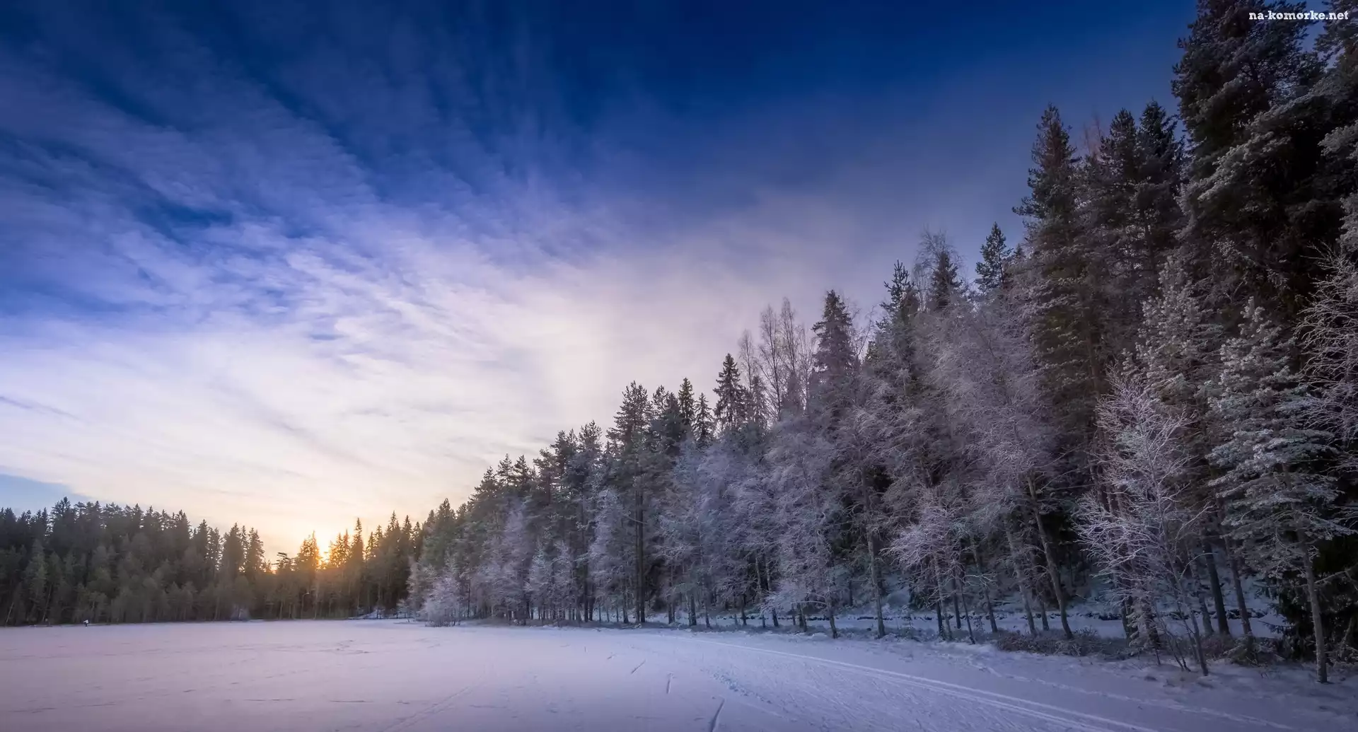 Finlandia, Las, Drzewa, Prowincja Häme, Zamarznięte, Jezioro Kahtoilampi, Zima