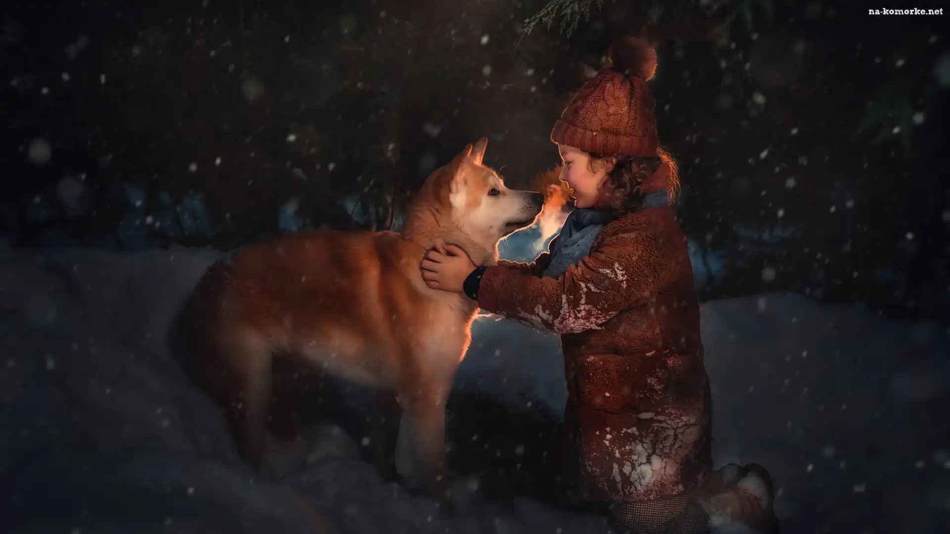Zima, Dziewczynka, Pies, Akita inu, Åšnieg