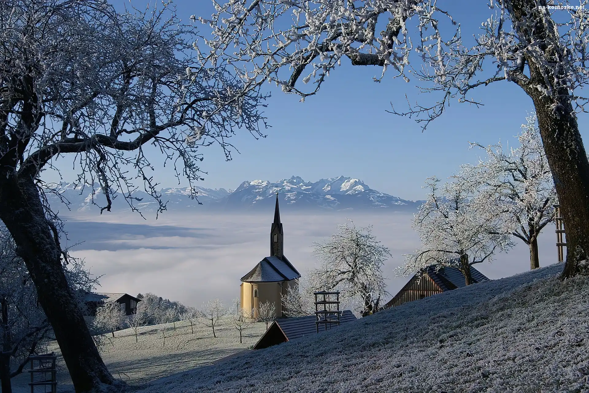 Zima, Austria, Kościółek, Drzewa