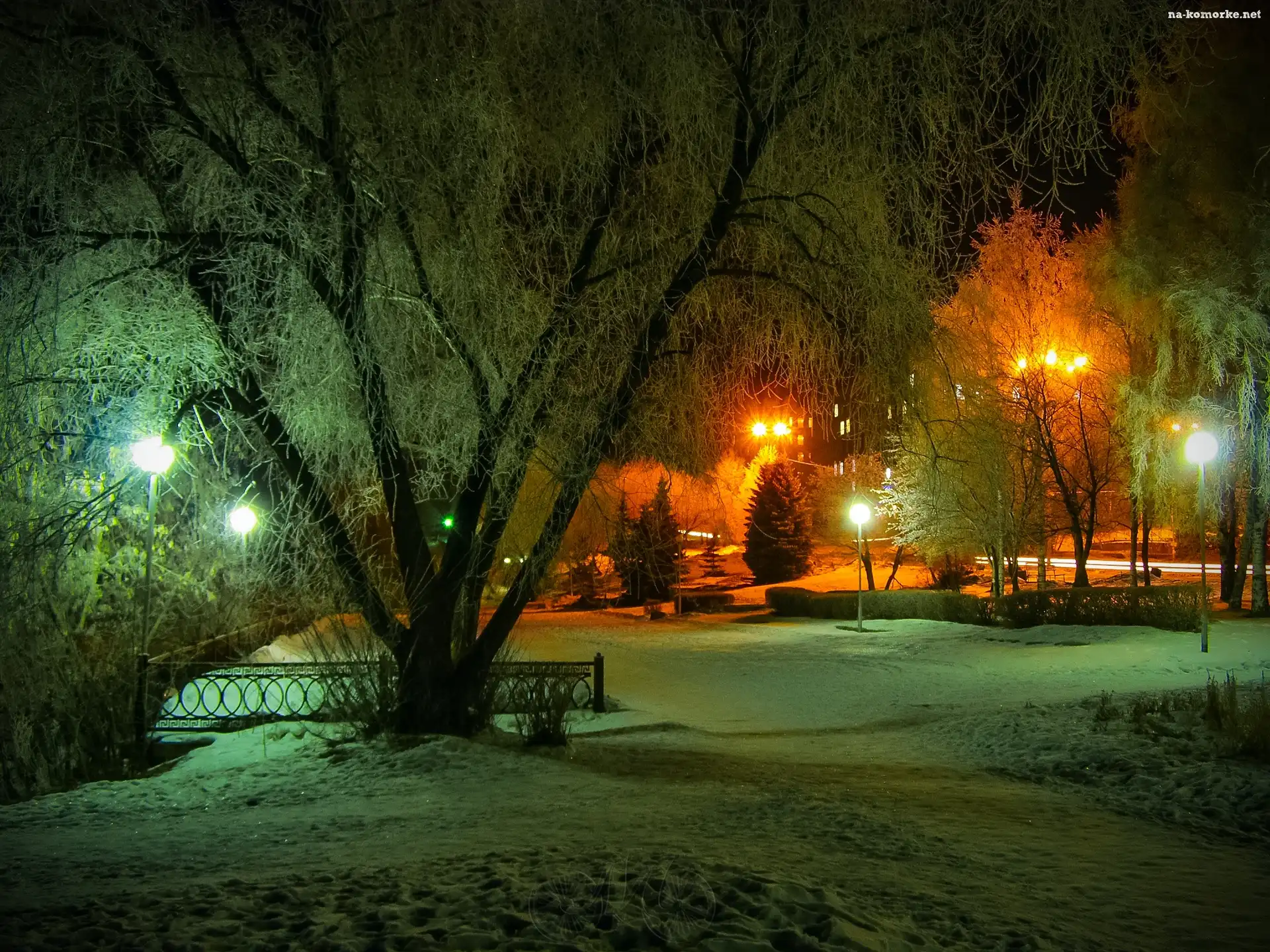 Zima, Park, Drzewa, Lampy, Noc