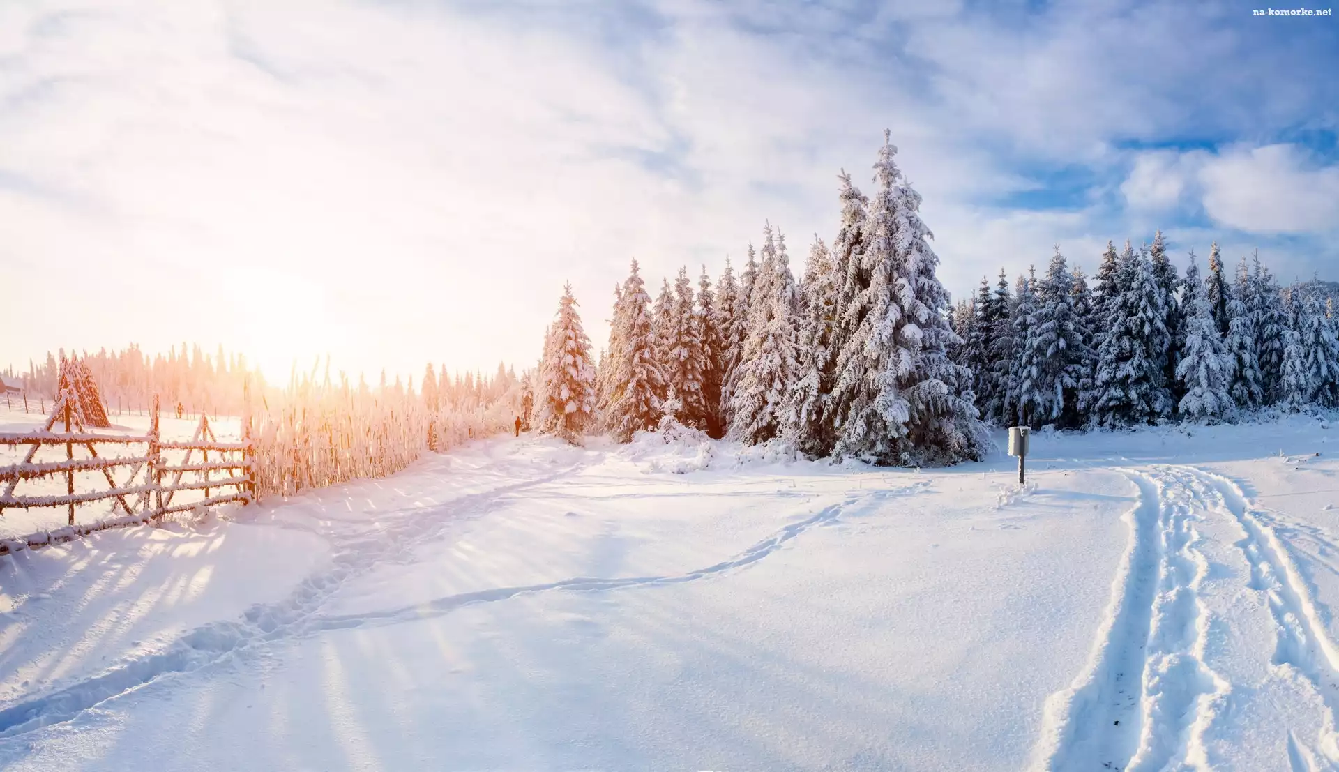Zima, Ogrodzenie, Las, Śnieg