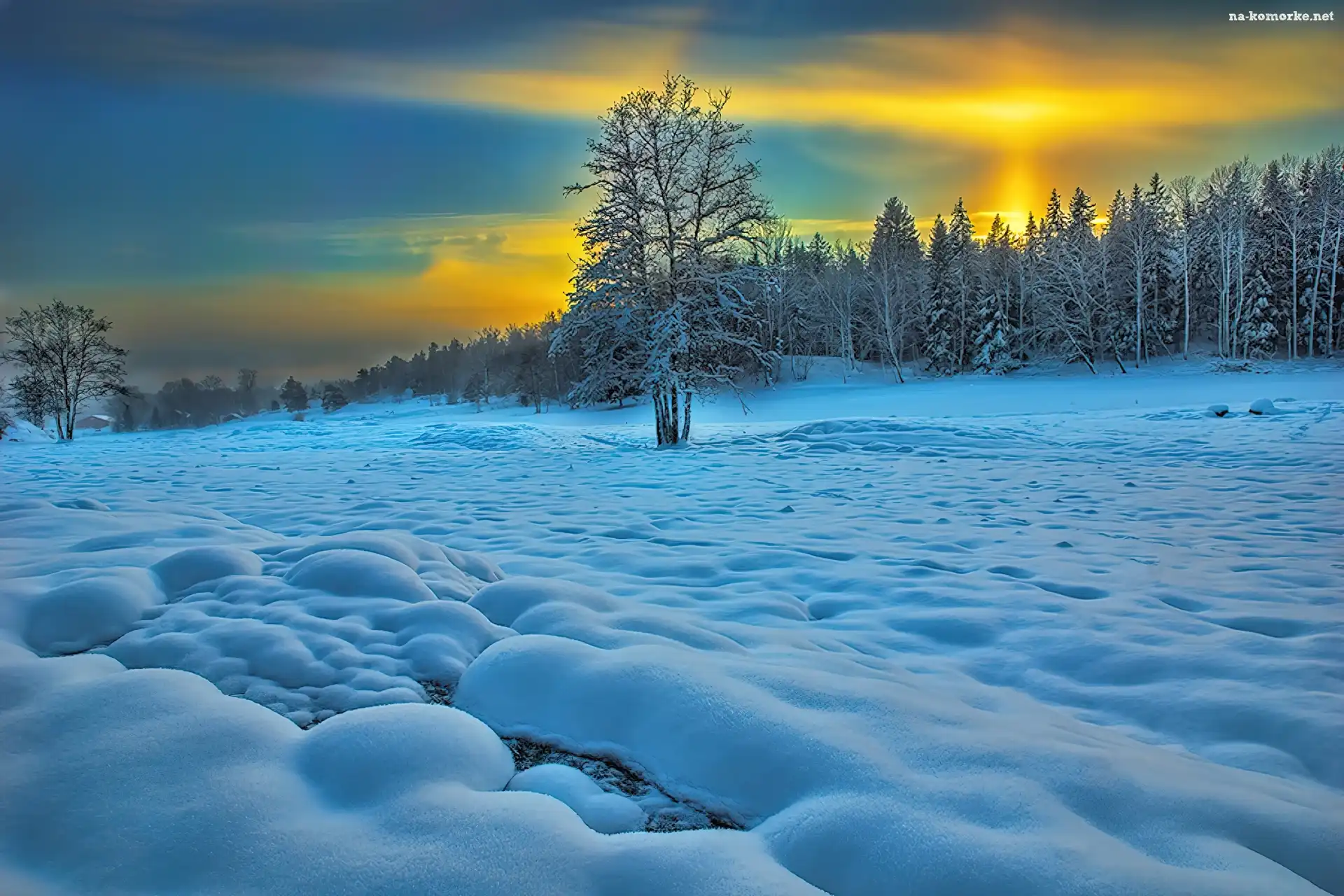 Zima, Zachód, Słońca, Las, Śnieg