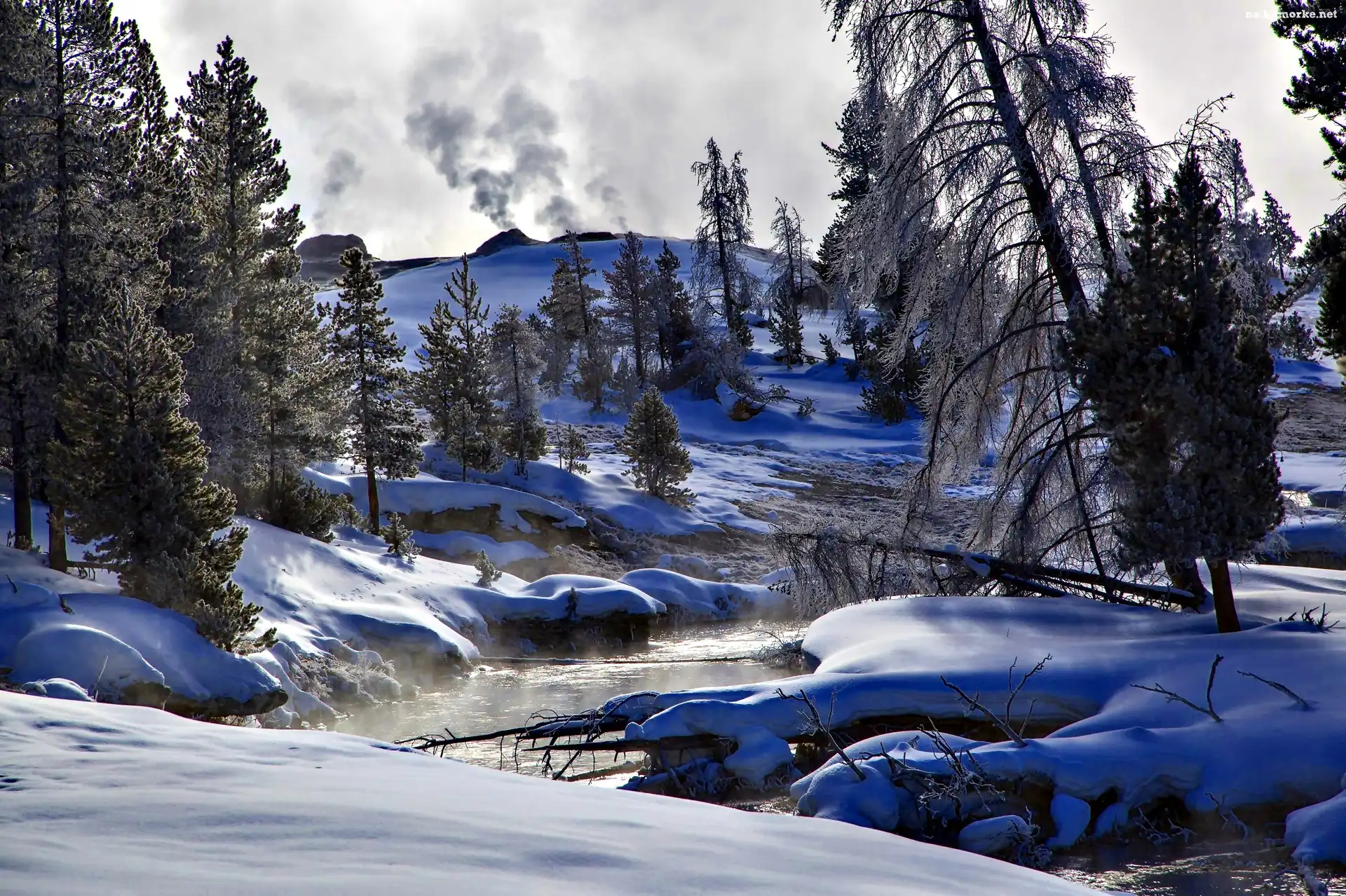 Rzeka Firehole River, Stan Wyoming, Stany Zjednoczone, Drzewa, Park Narodowy Yellowstone, Zima