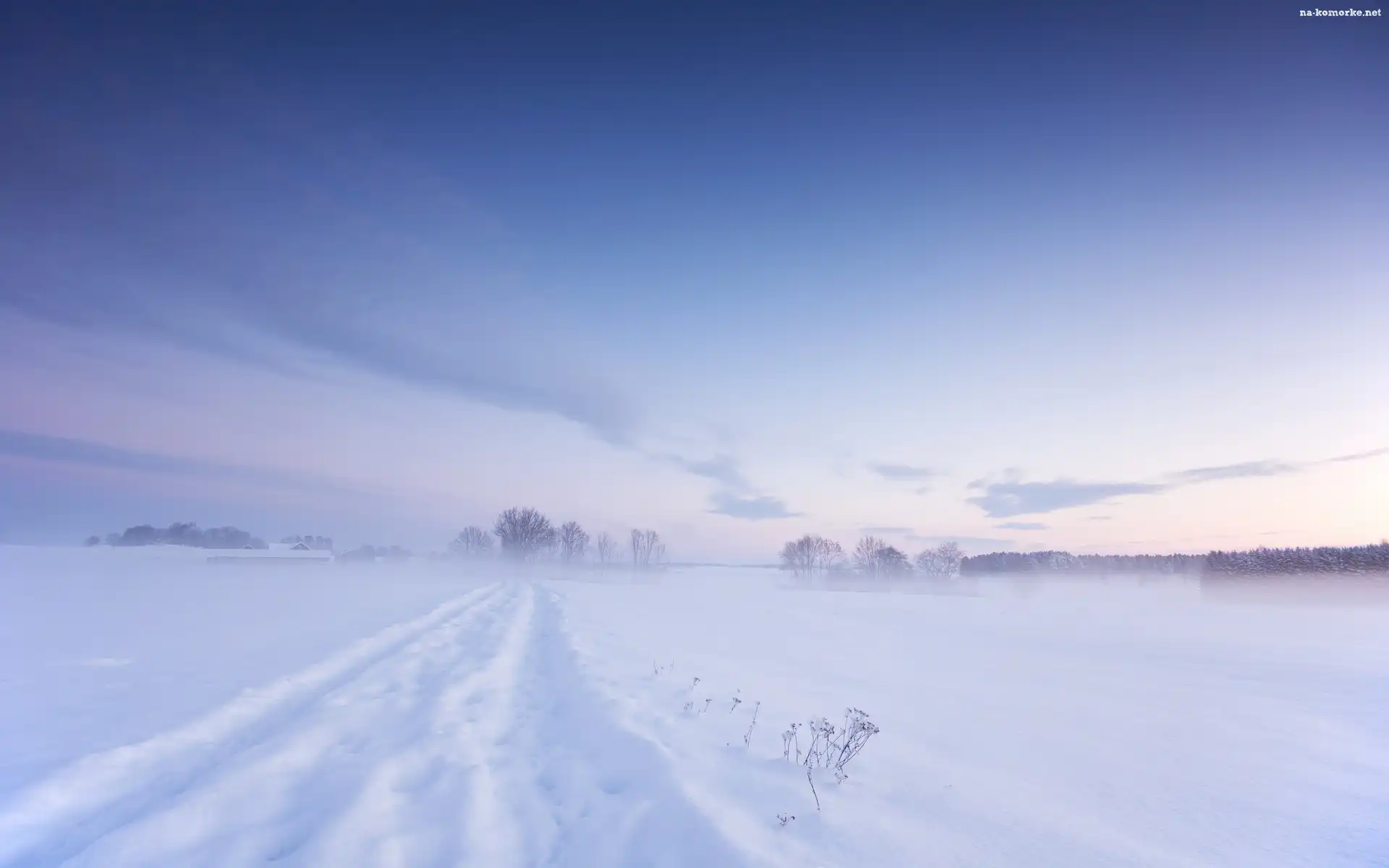 Zima, Śnieg