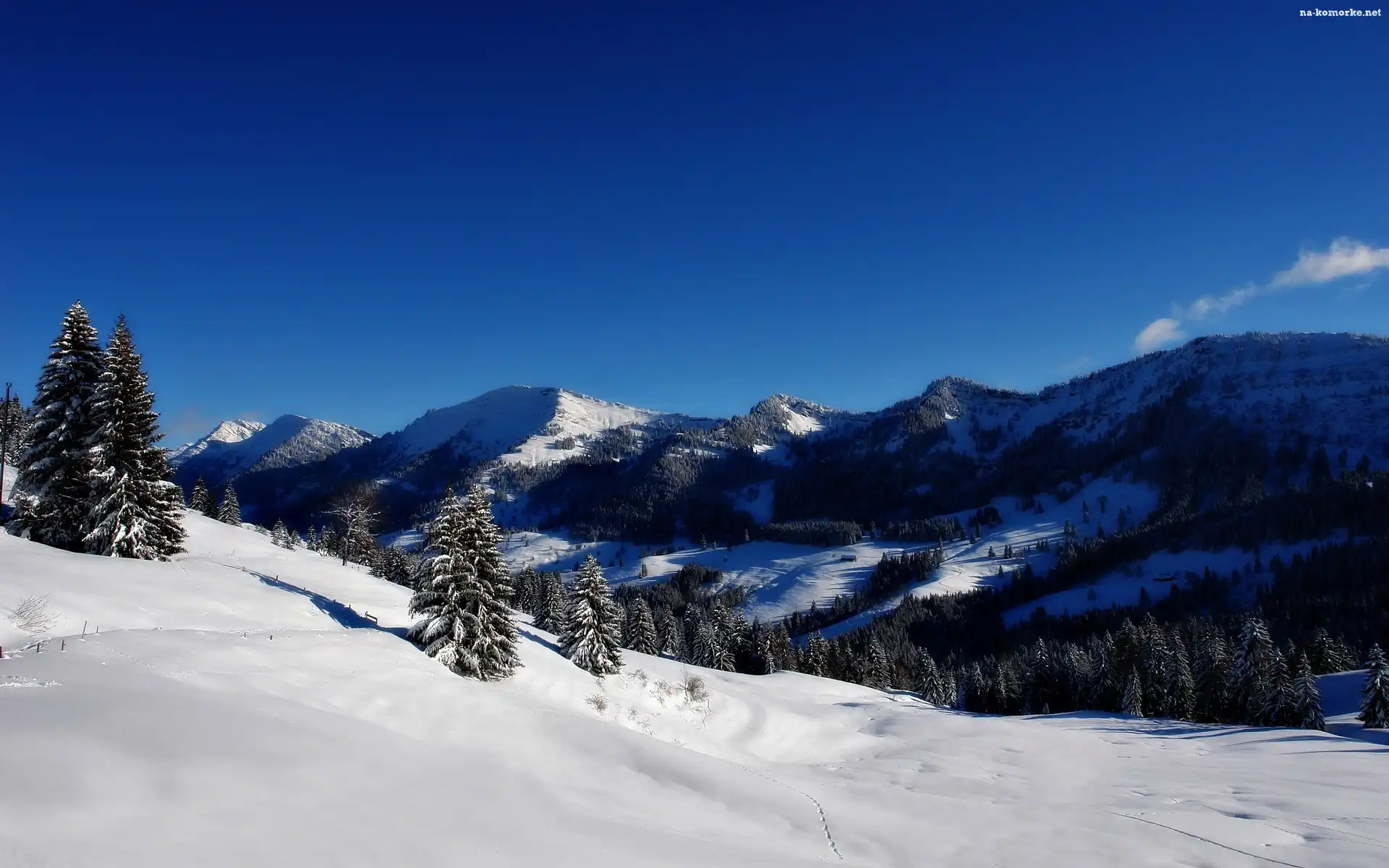 Zima, Śnieg