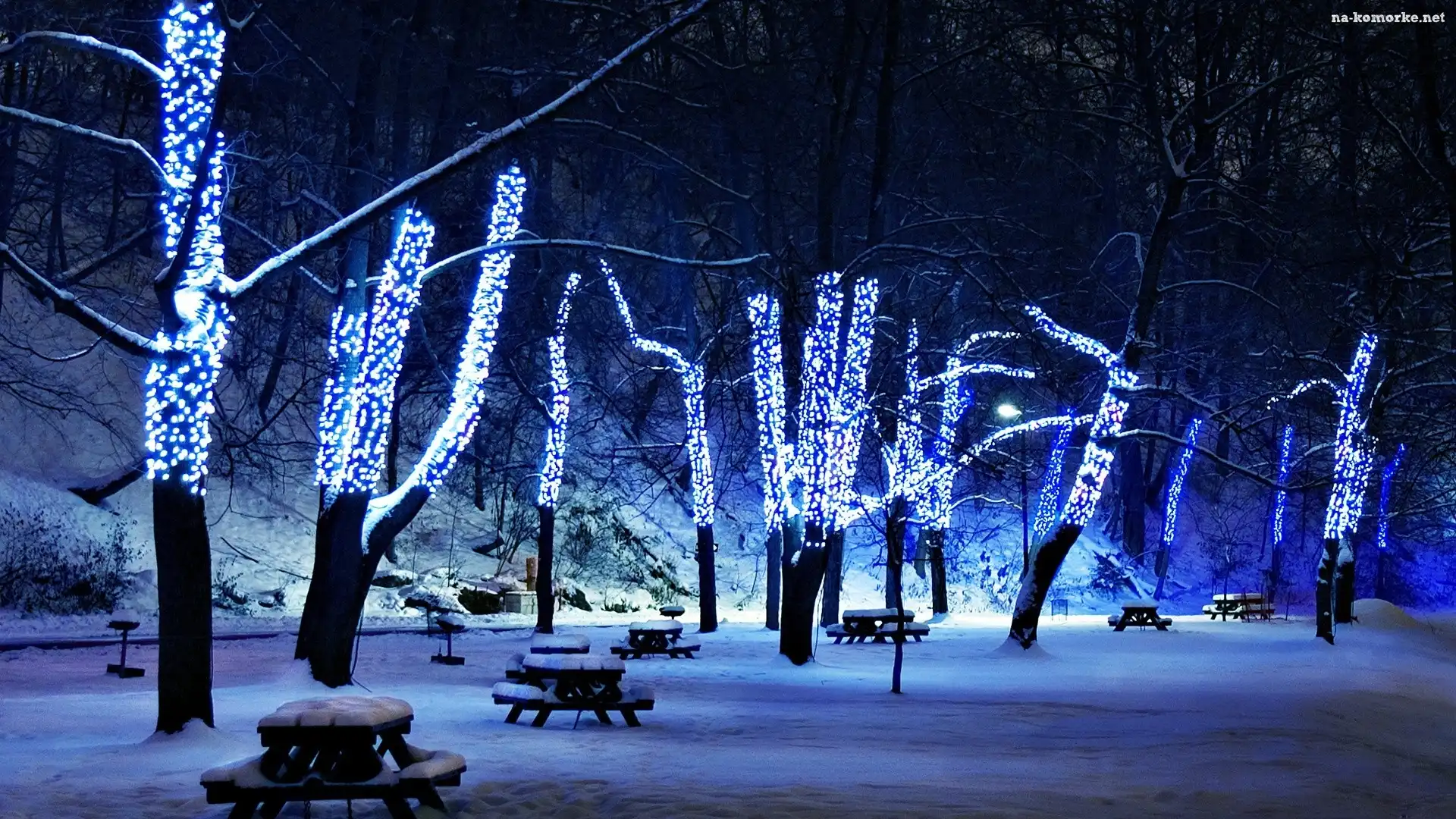 Zima, Światełka, Park, Noc