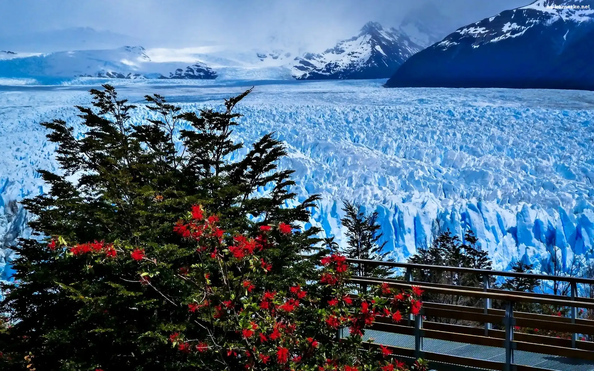 Zima, Lodowiec, Perito Moreno