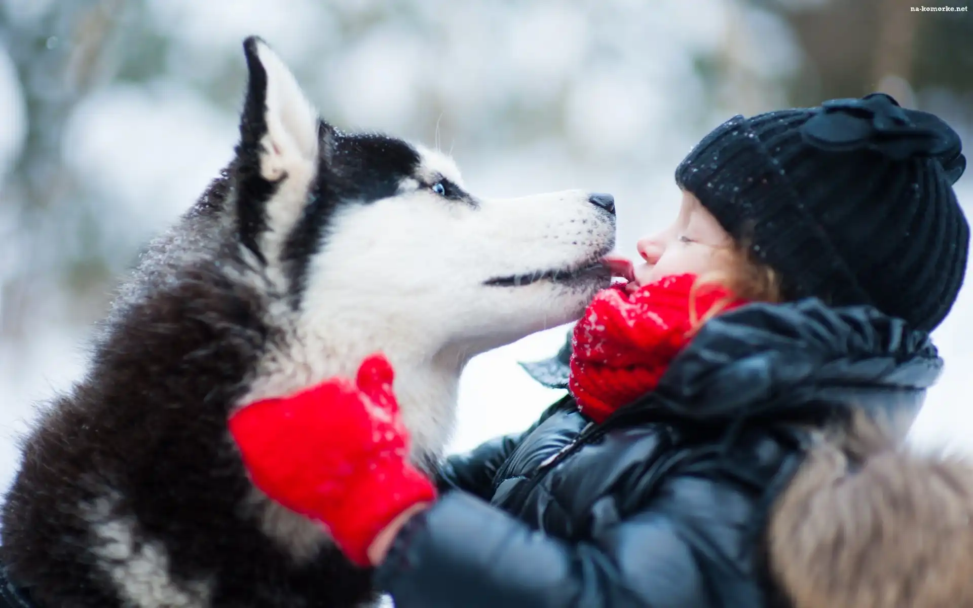 Zima, Dziewczynka, Husky, Przyjazń, Park