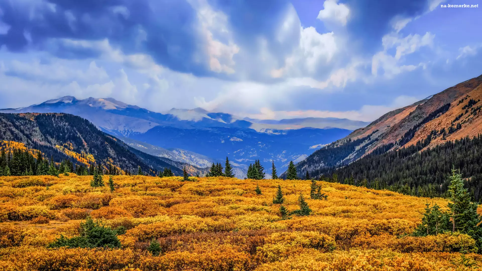 Drzewa, Polana, Chmury, Góry, Guanella Pass Summit, Kolorado, Stany Zjednoczone, Las, Niebo