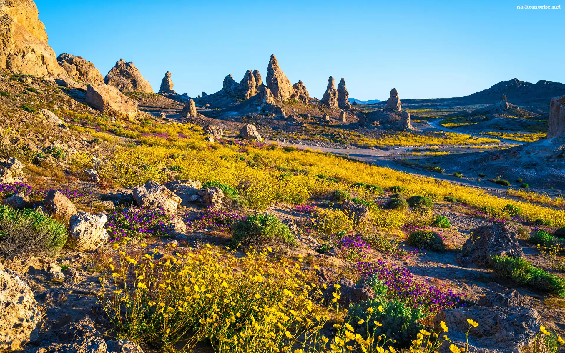 Roślinność, Skały, Dzień, Góry, Park Trona Pinnacles, Kalifornia, Stany Zjednoczone, Kamienie, Słoneczny