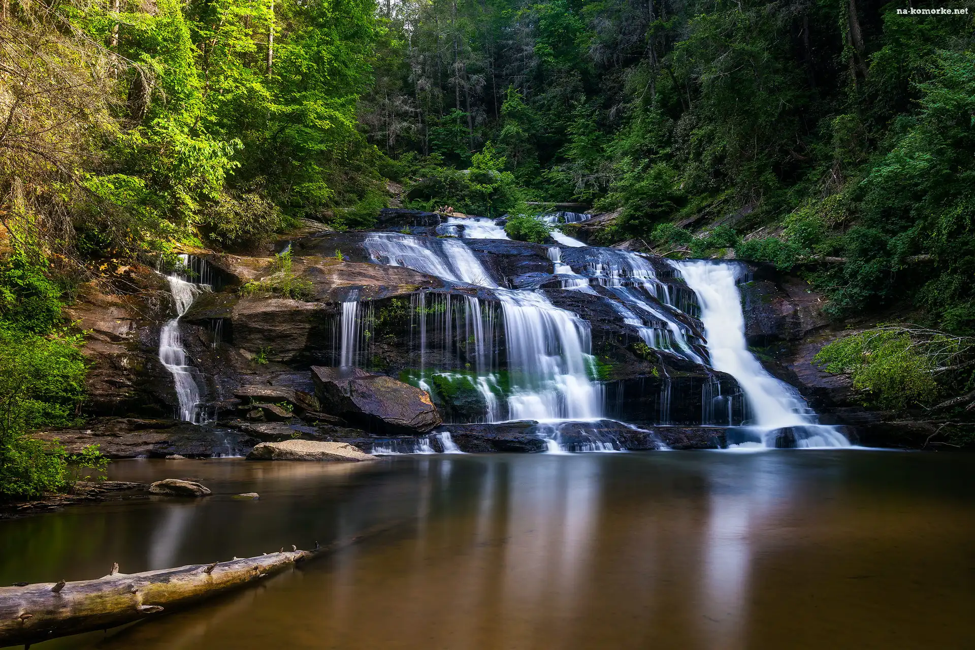 Stany Zjednoczone, Las, Waszyngton, Wodospad Panther Creek Falls