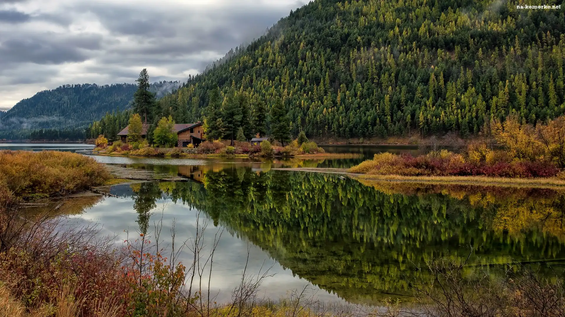 Las, Zalesione, Jezioro, Drzewa, Stany Zjednoczone, Góry, Stan Montana, Domy, Salmon Lake