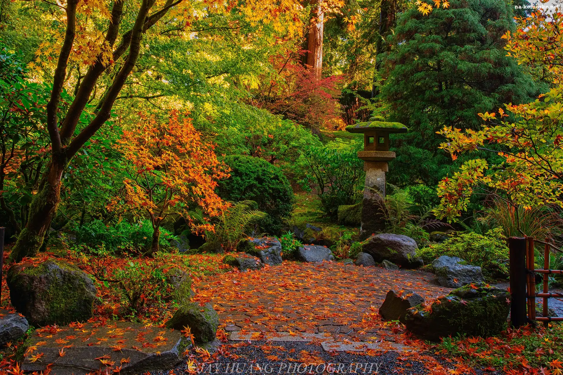 Ogród japoński, Oregon, Krzewy, Stany Zjednoczone, Drzewa, Jesień, Portland Japanese Garden, Portland