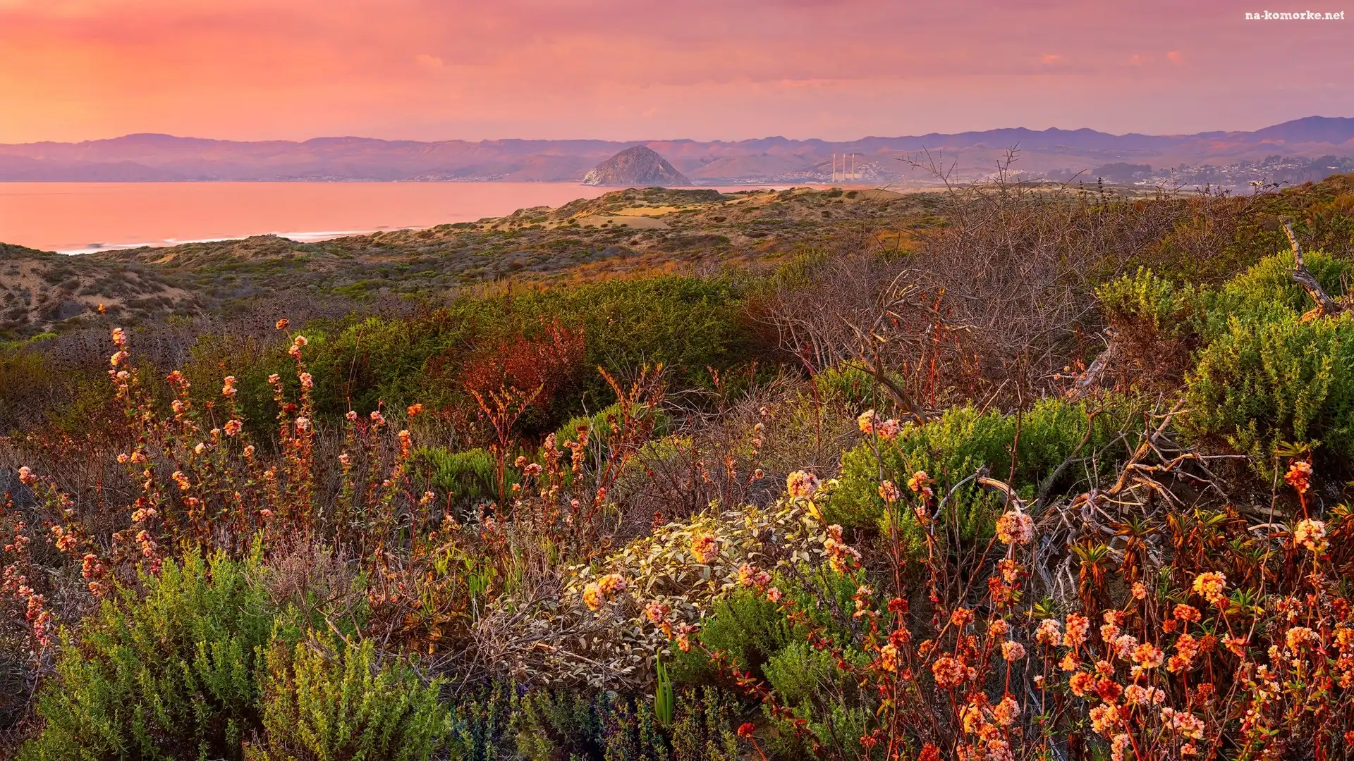 Wzgórza, Krzewy, Stany Zjednoczone, Roślinność, Park Stanowy Montana de Oro, Zachód słońca, Kalifornia