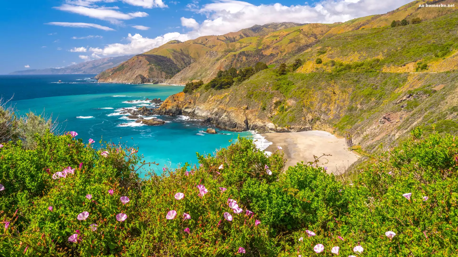 Wybrzeże, Morze, Chmury, Plaża, Stany Zjednoczone, Góry, Kalifornia, Kwiaty, Region Big Sur