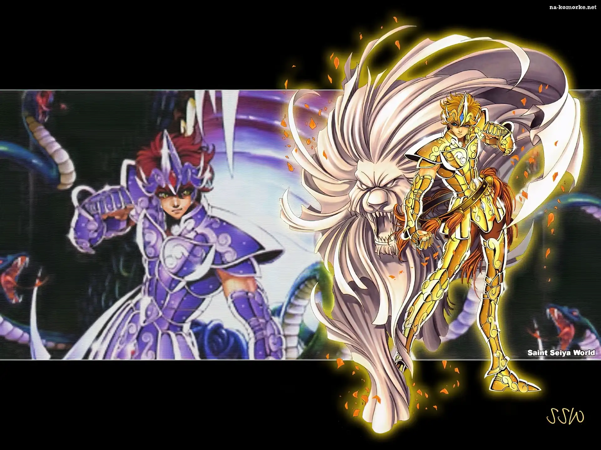 złoto, Saint Seiya, postać, , lew