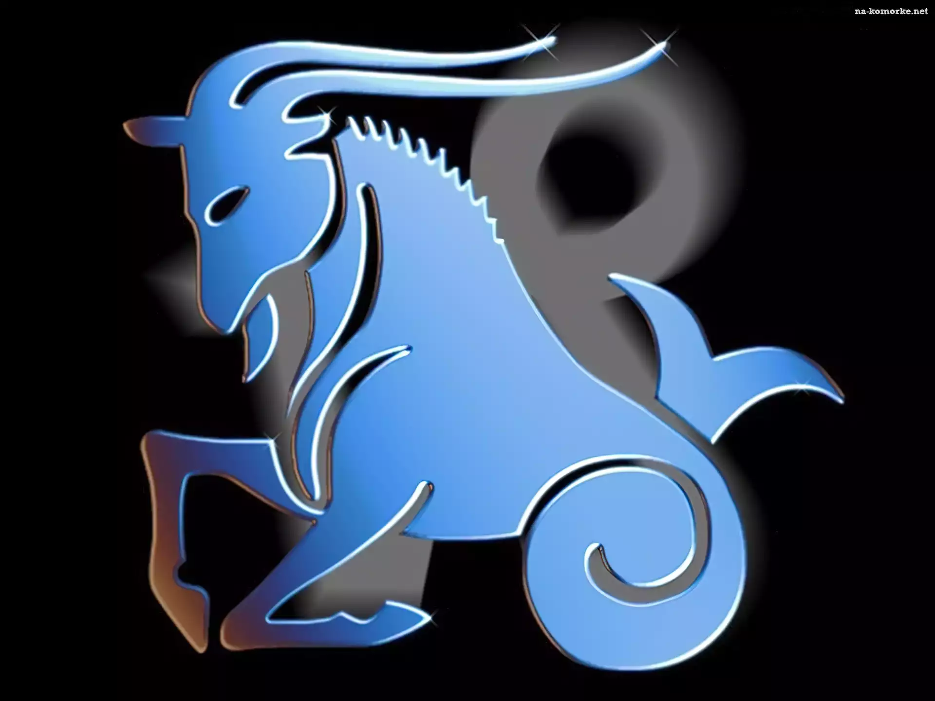 Znak, Zodiaku, Koziorożec