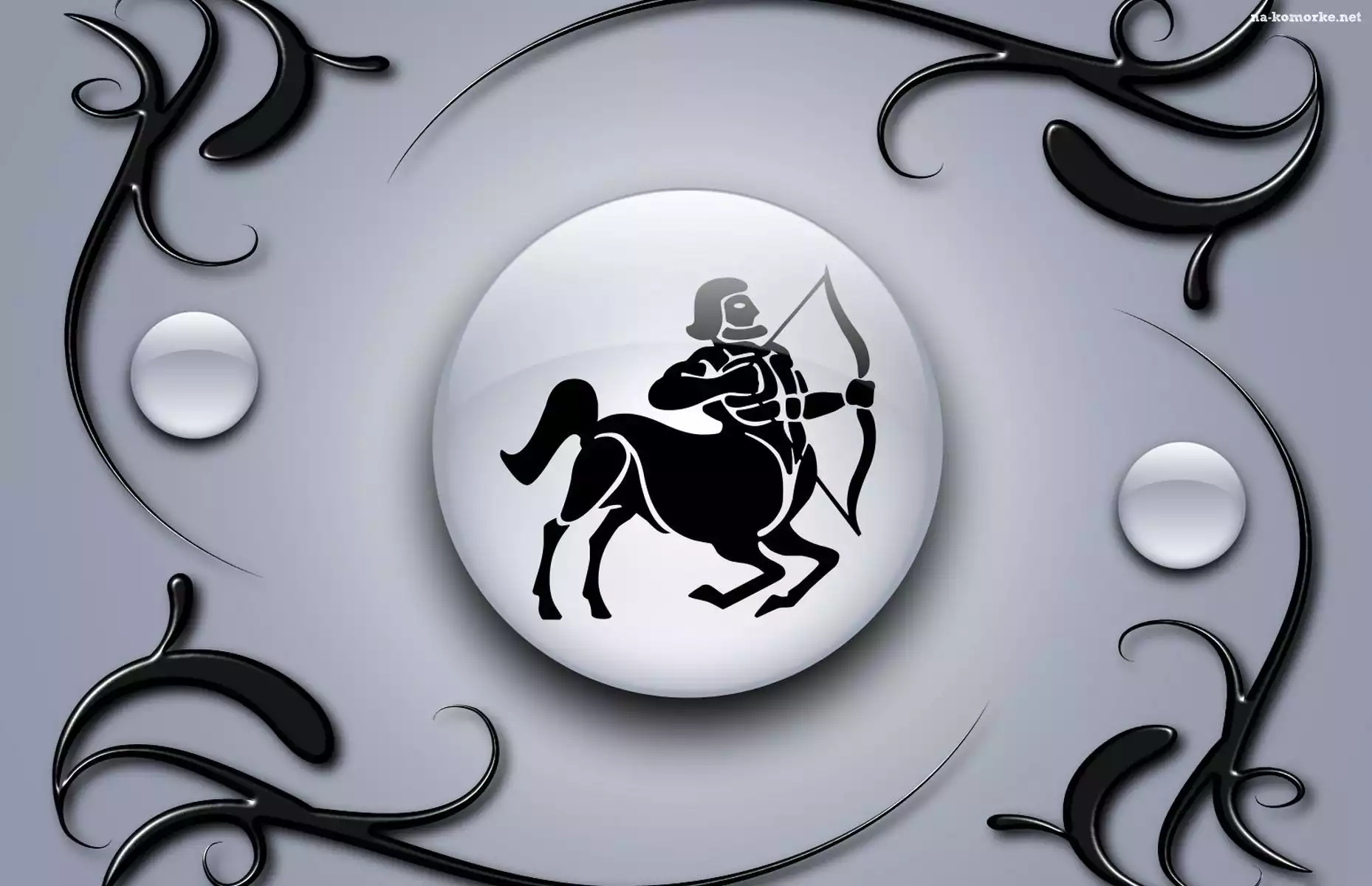 Znak, Zodiaku, Strzelec