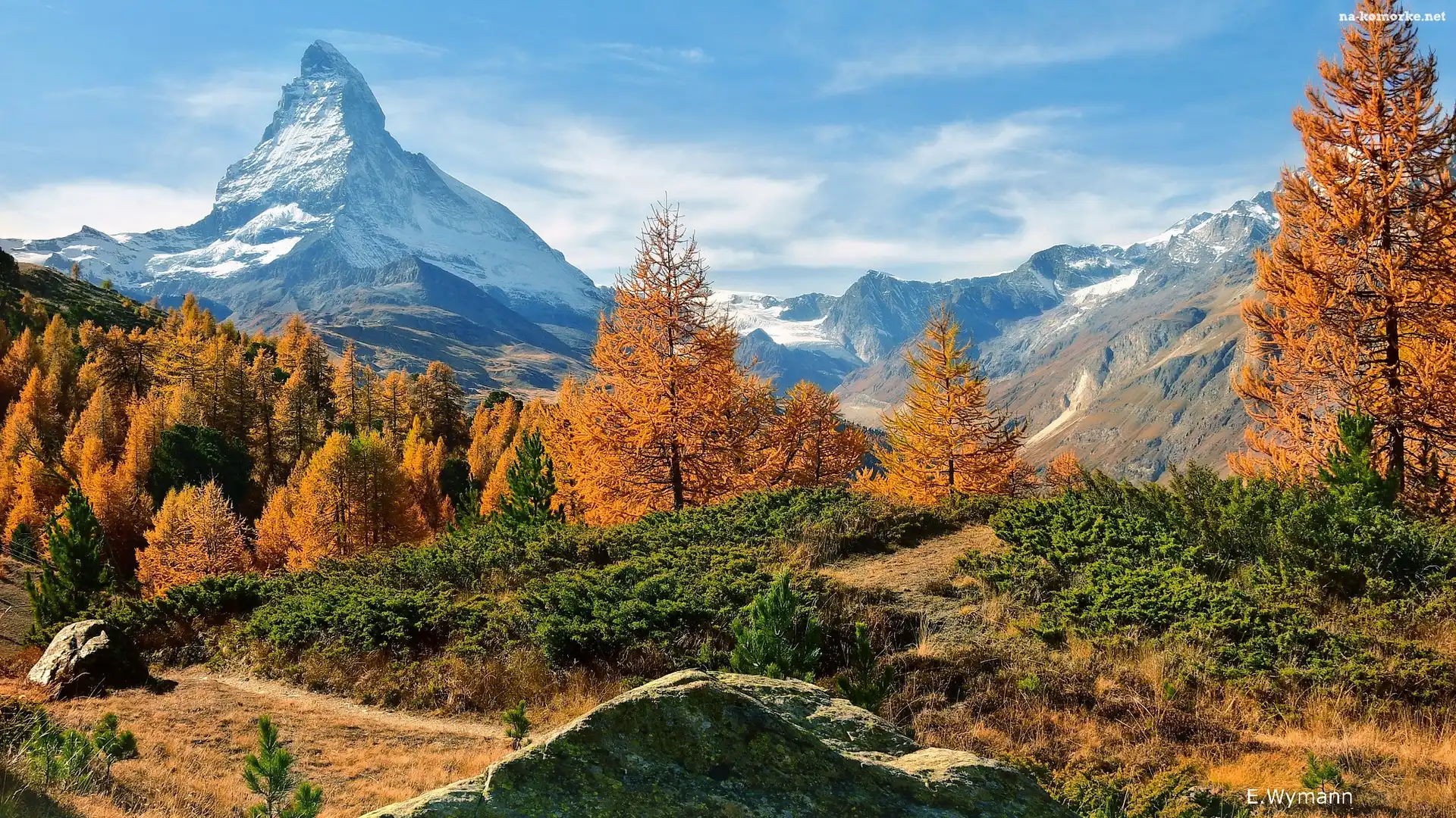 Żółte, Matterhorn, Rośliny, Szczyt, Alpy Penińskie, Góra, Szwajcaria, Drzewa, Modrzewie